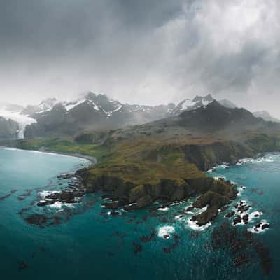 Gold Harbour, South Georgia, South Georgia and the South Sandwich Islands