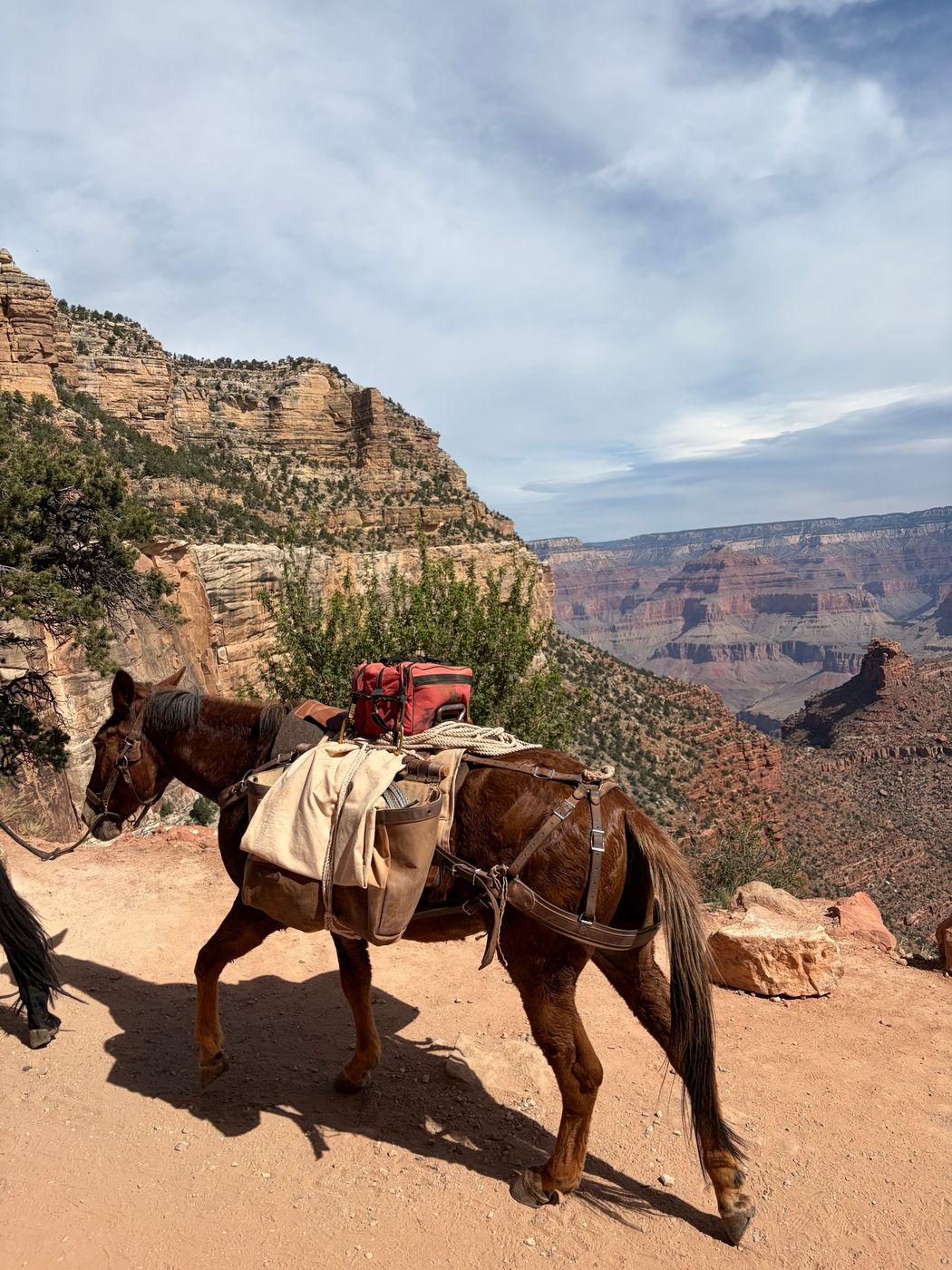 Grand Canyon South Rim, USA