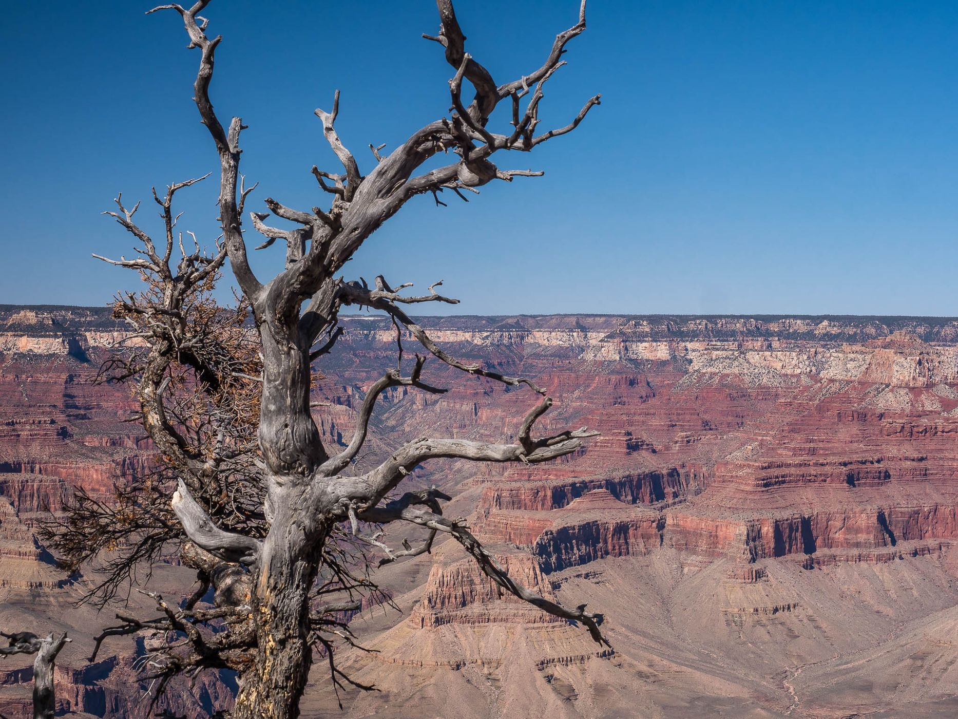Grand Canyon, USA