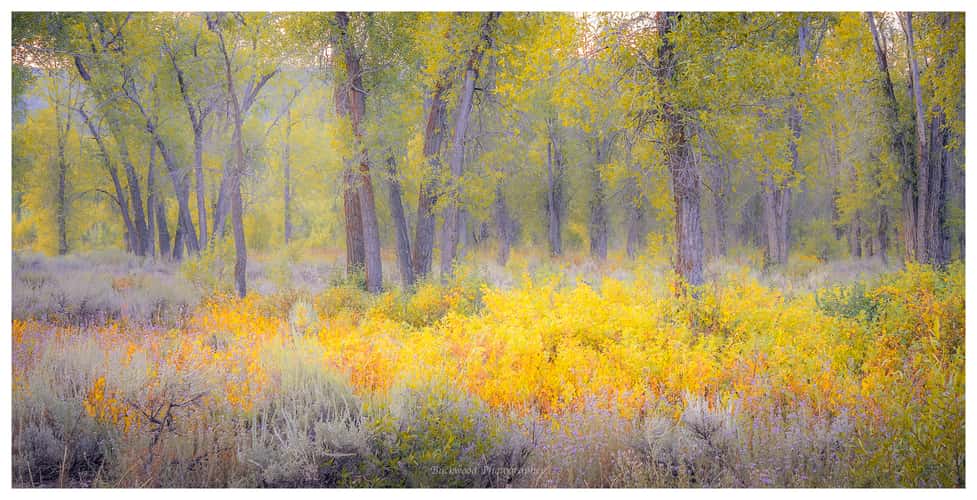 Gros Ventre Road, Grand Teton National Park