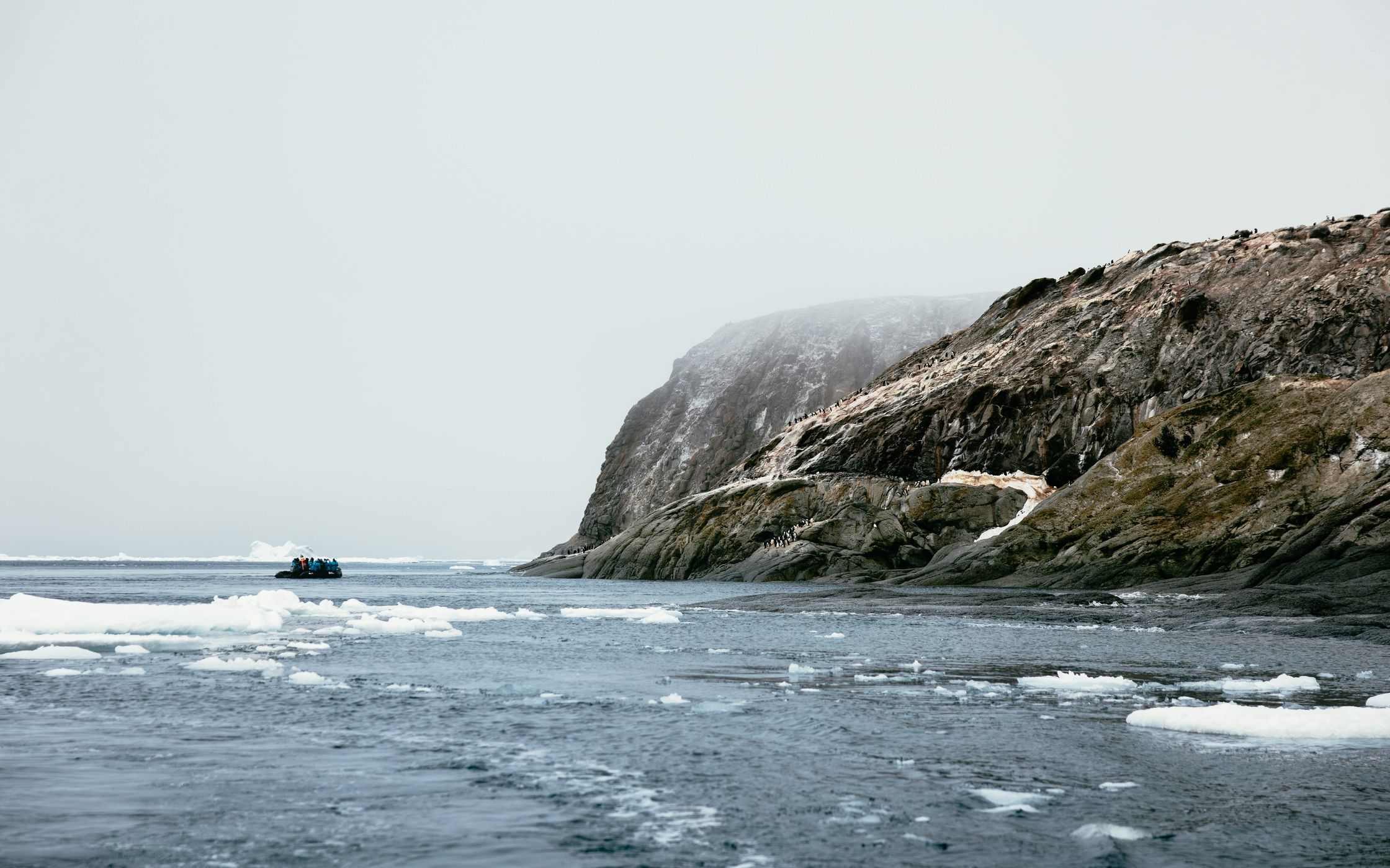 Heroina Island, Antarctica, Antarctica