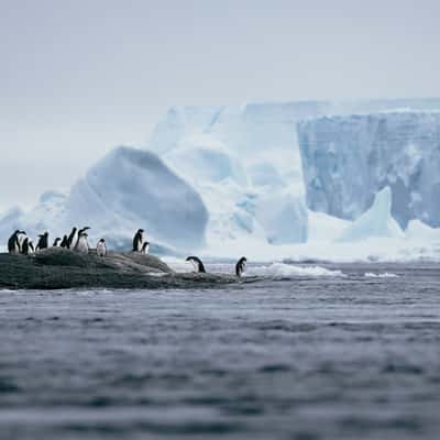 Heroina Island, Antarctica, Antarctica