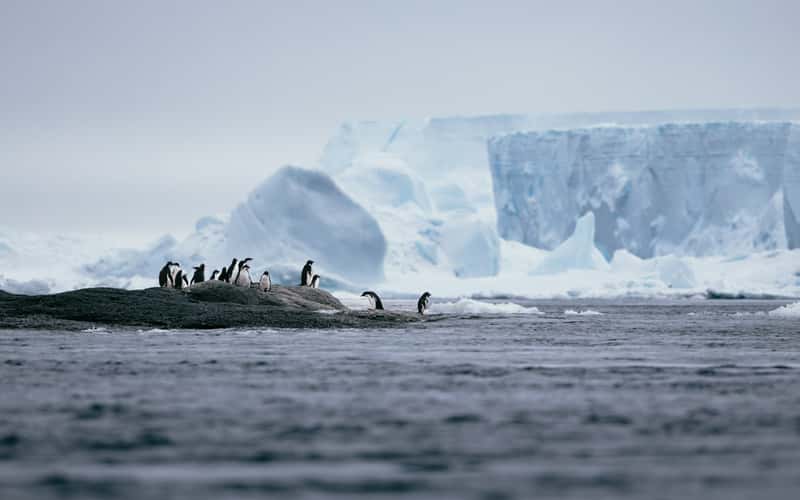 Heroina Island, Antarctica