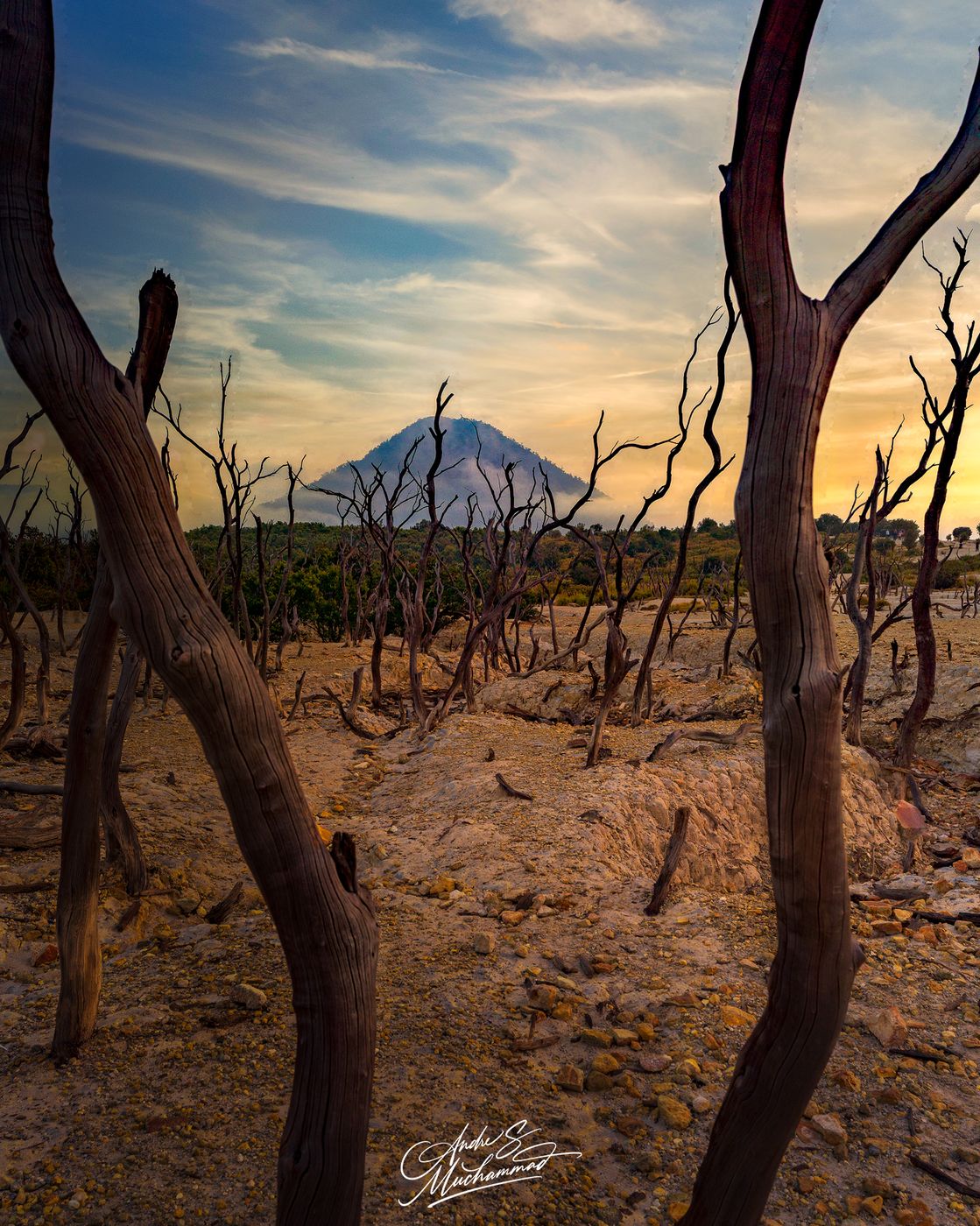 Hutan Mati Gunung Papandayan, Indonesia