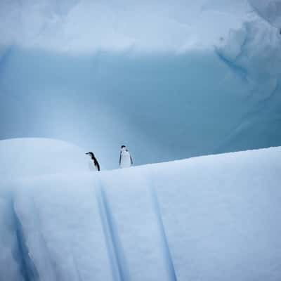 Iceberg Alley, Antarctica, Antarctica