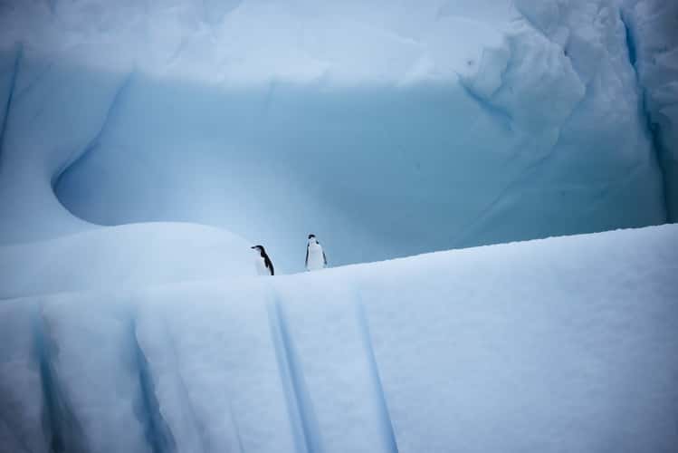Iceberg Alley, Antarctica