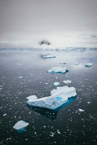 Icebergs in Charlotte Bay, Antarctica