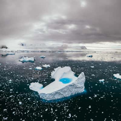 Icebergs in Charlotte Bay, Antarctica, Antarctica