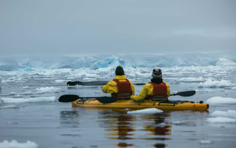 Kayaking in Charlotte Bay, Antarctica