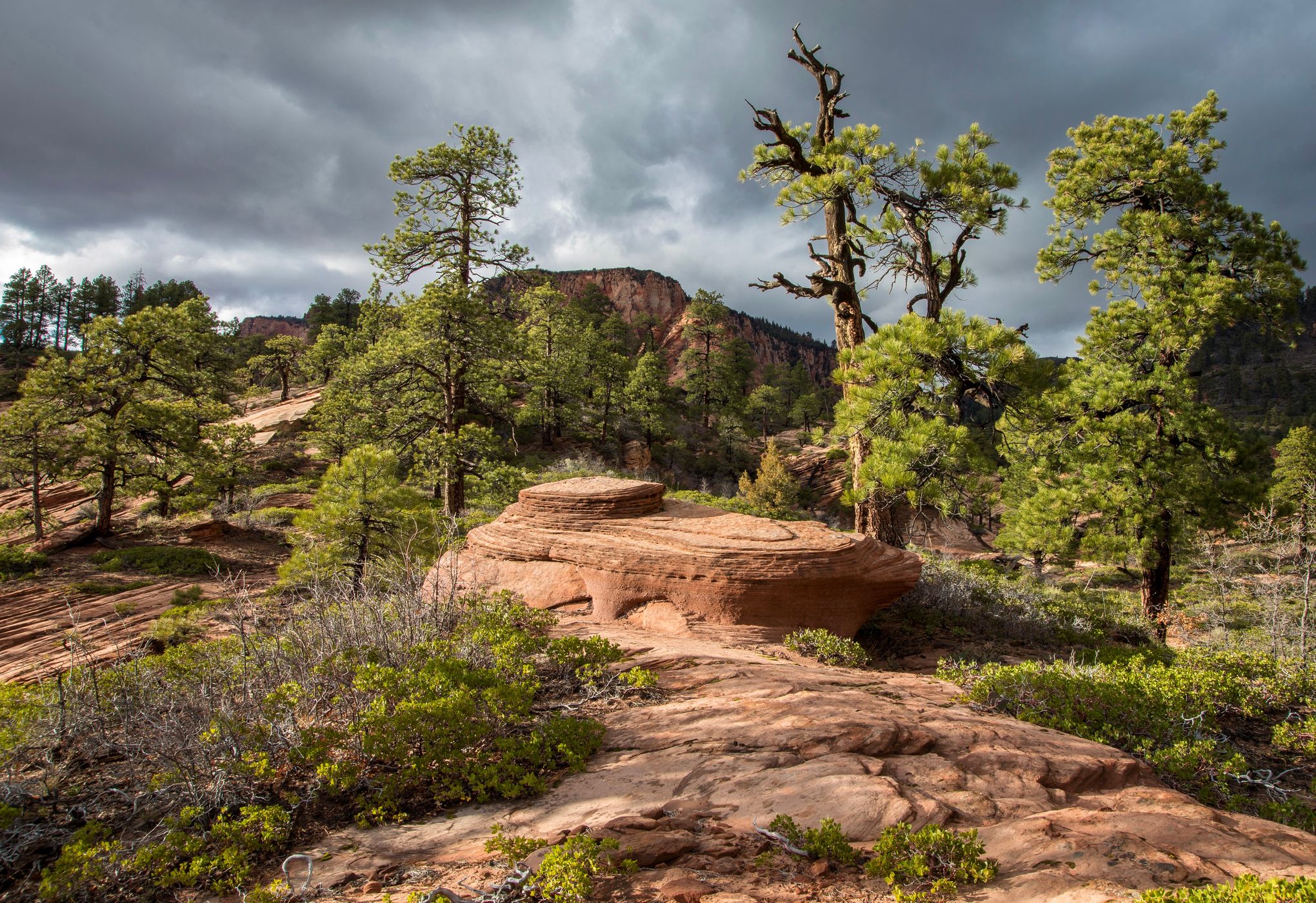 Kolob Terrace Road, USA