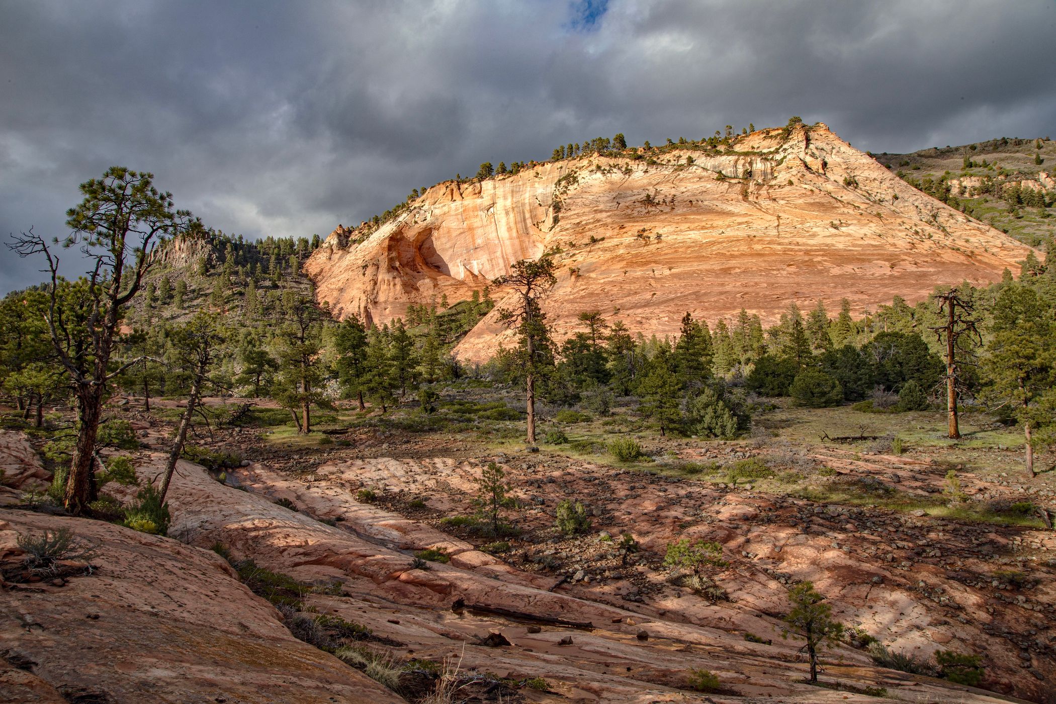 Kolob Terrace Road, USA