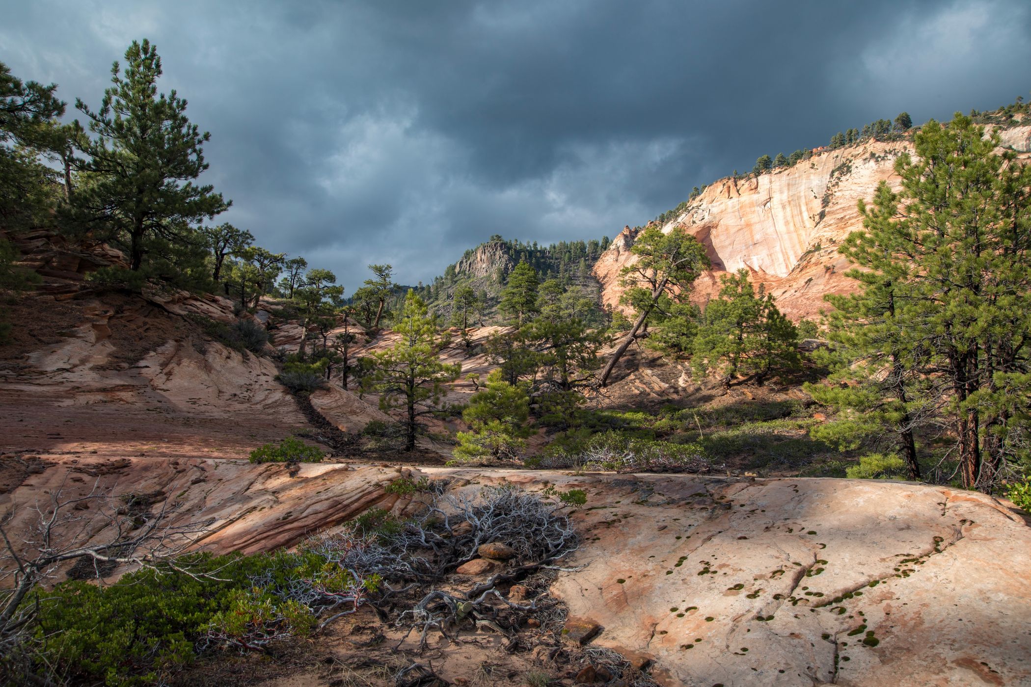 Kolob Terrace Road, USA