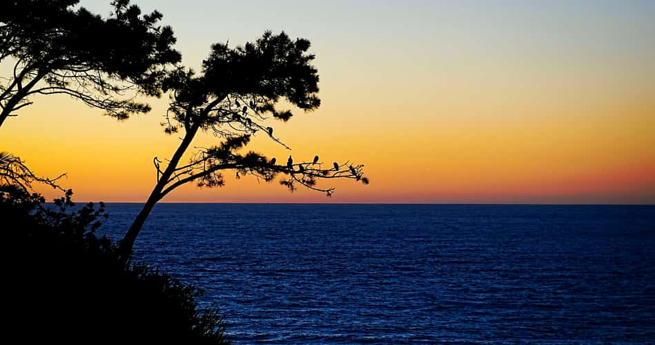 La Jolla