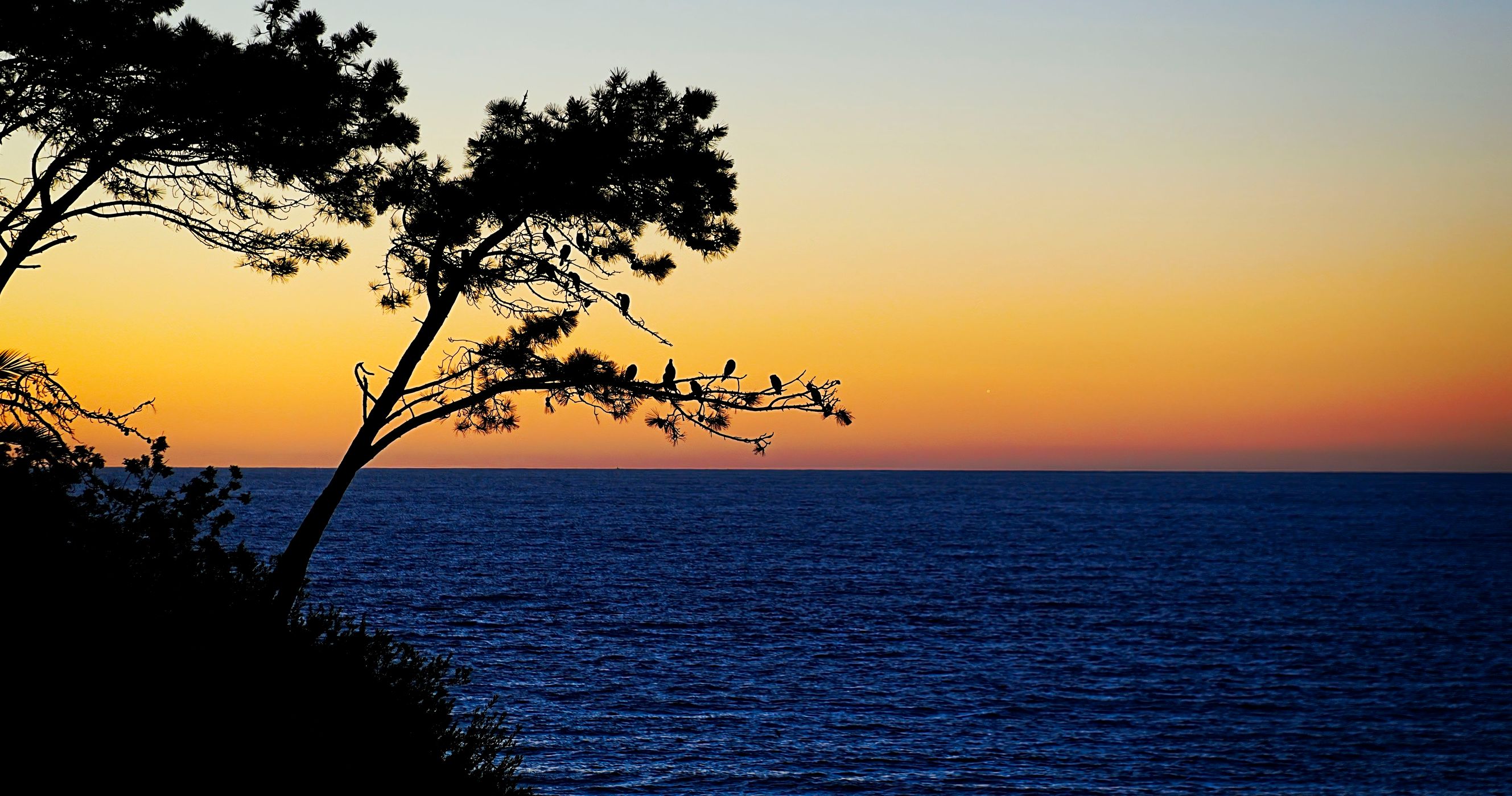 La Jolla, USA