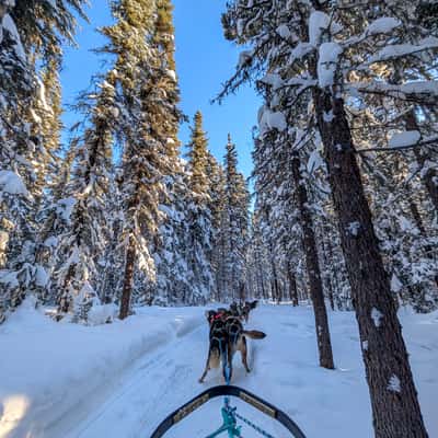 Last Fronteir Mushing Co-op, USA