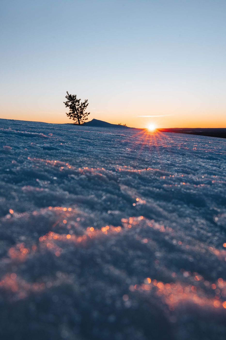 Lonely trees at Ukko-Luosto, Luosto-Pyhä National Park, Finland