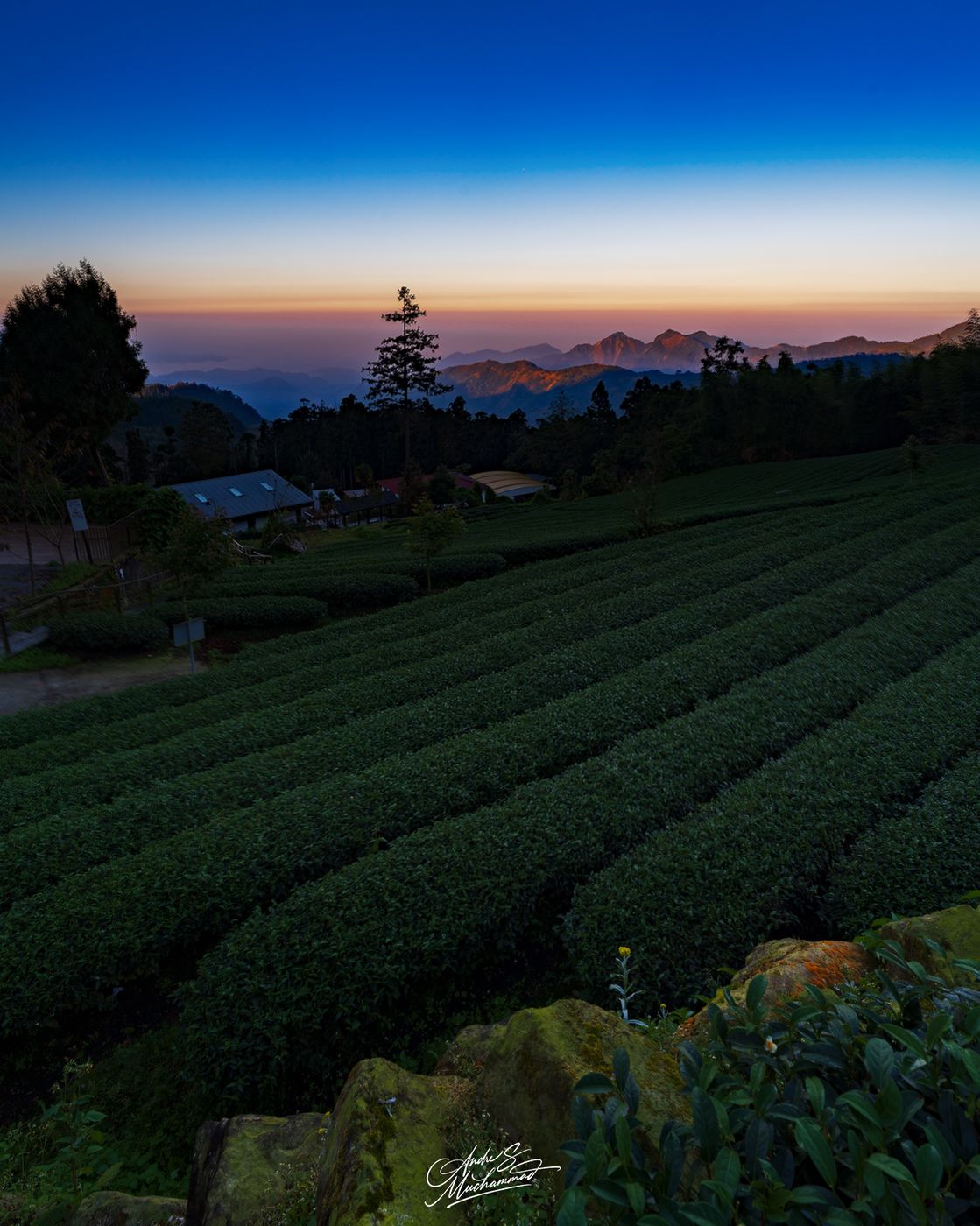 Long Yun Leisure Farm Alishan, Taiwan