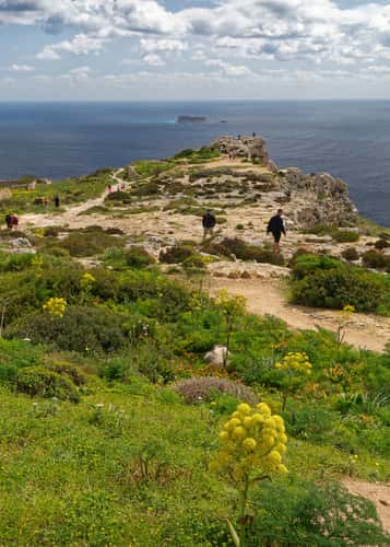 Malta, Dingli clifs