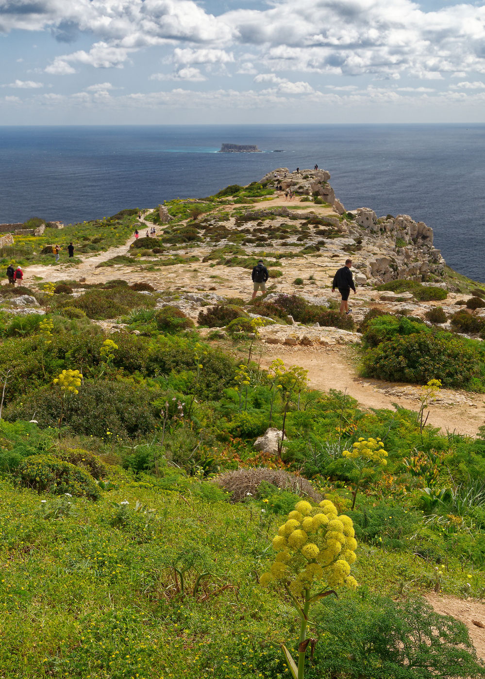 Malta, Dingli clifs, Malta