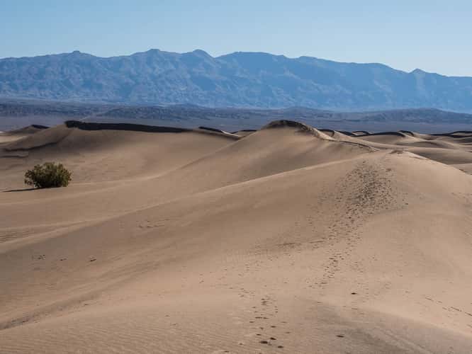 Mesquite Flat Sand Dunes