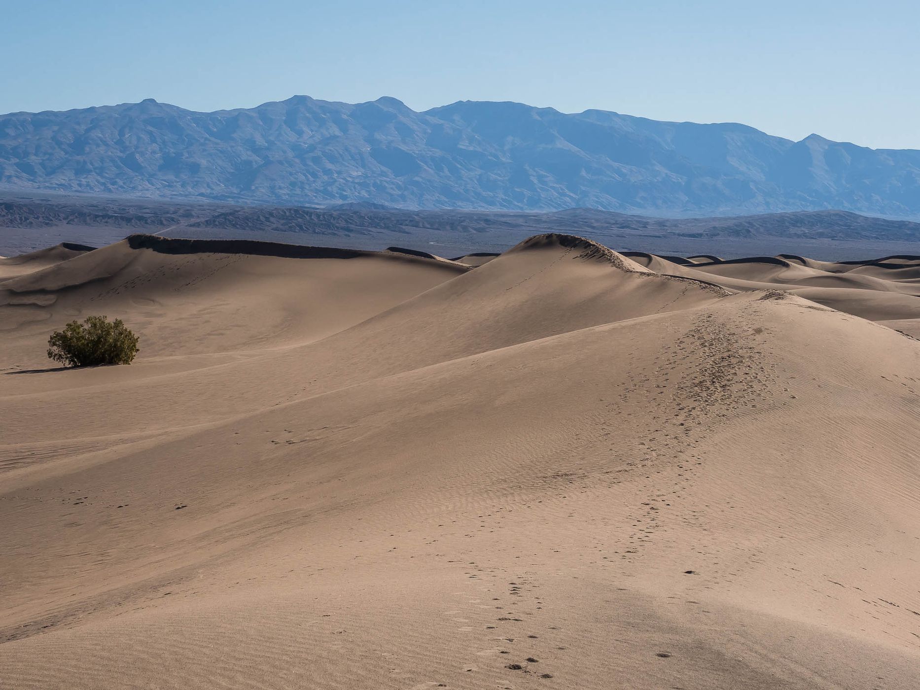 Mesquite Flat Sand Dunes, USA