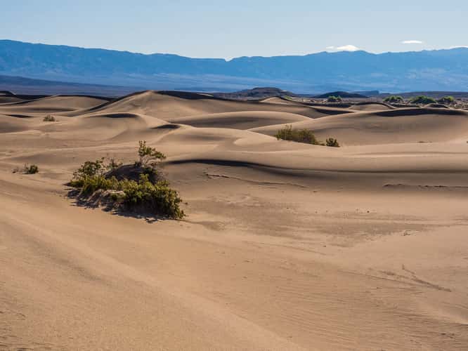 Mesquite Flat Sand Dunes