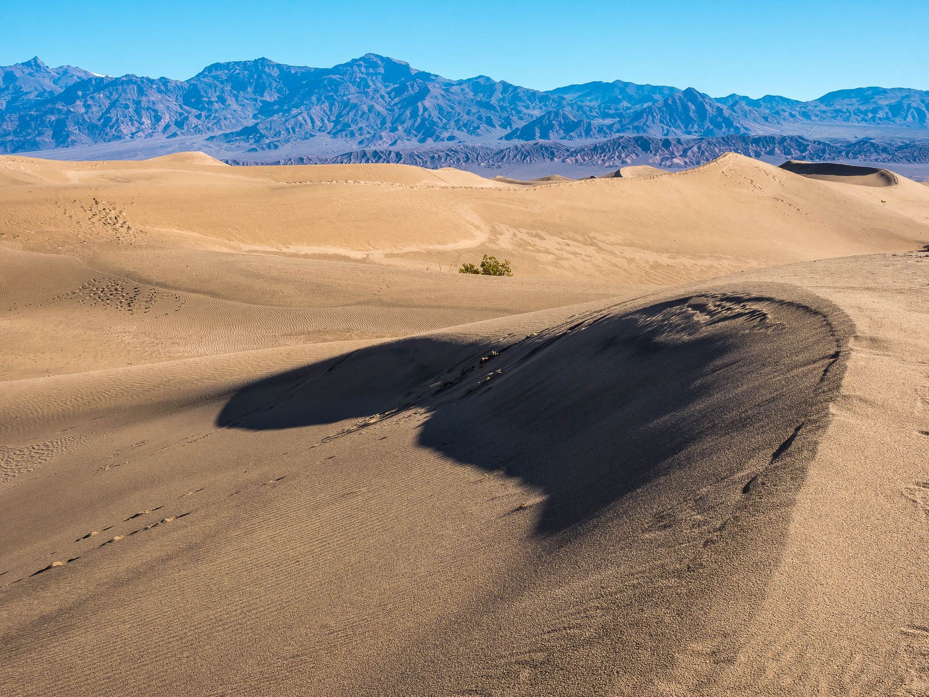 Mesquite Flat Sand Dunes, USA