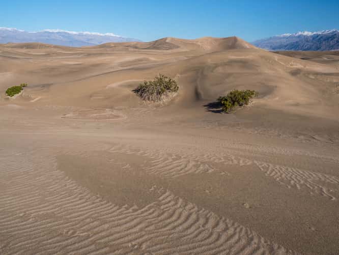 Mesquite Flat Sand Dunes