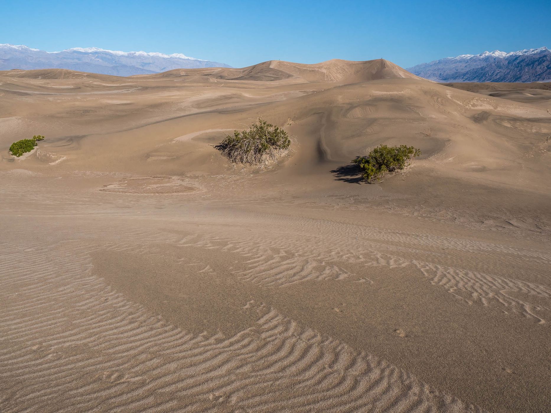 Mesquite Flat Sand Dunes, USA