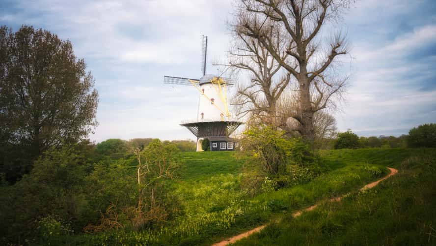 Mill of Veere (De Koe) from parking
