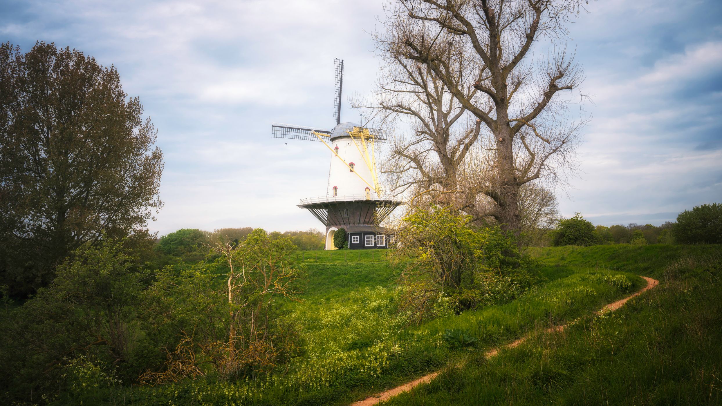 Mill of Veere (De Koe) from parking, Netherlands