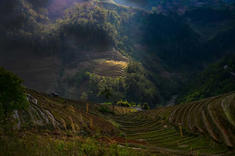 Mu Cang Chai