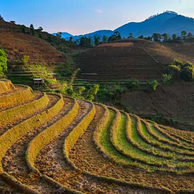 Mu Cang Chai, Vietnam