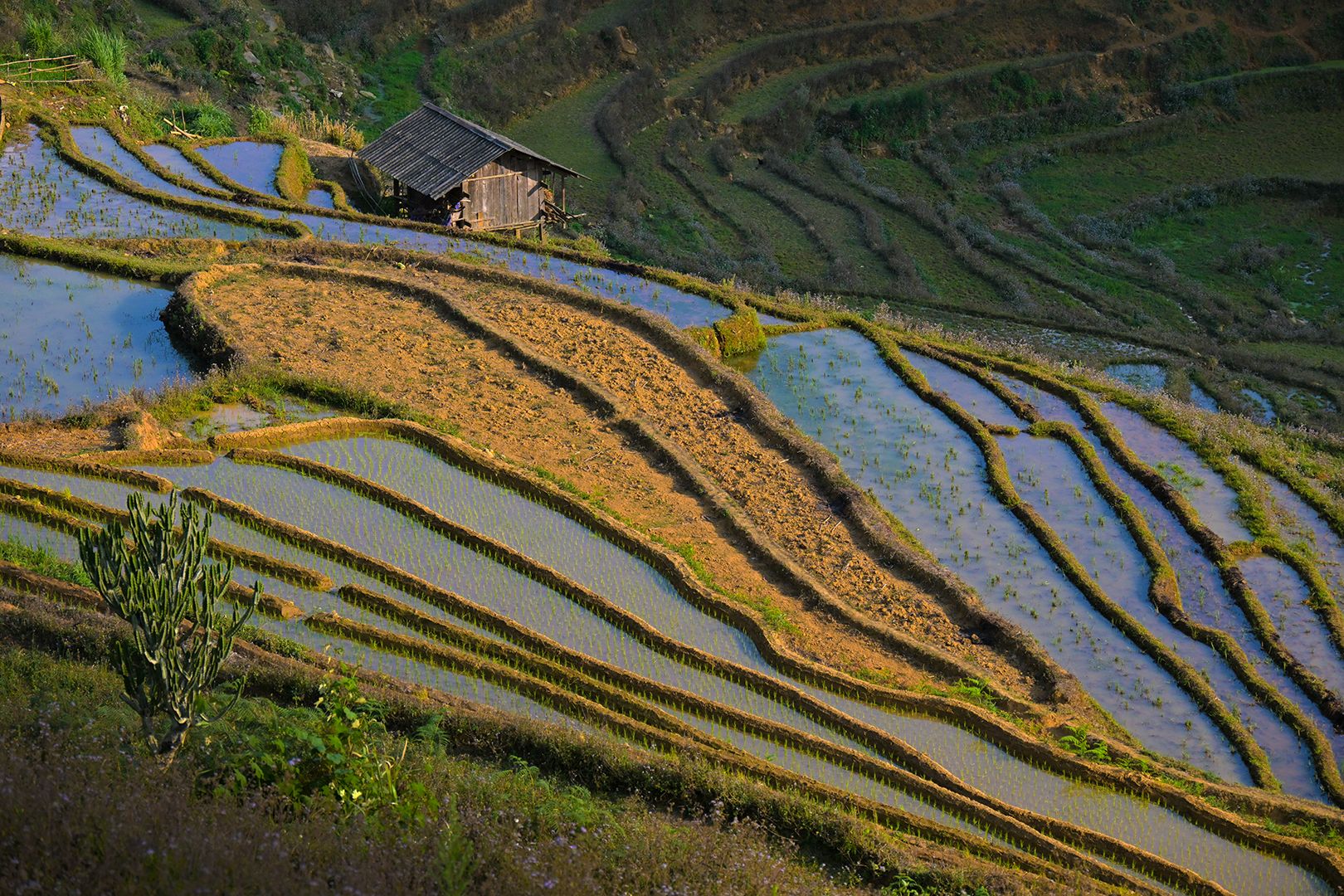 Mu Cang Chai, Vietnam