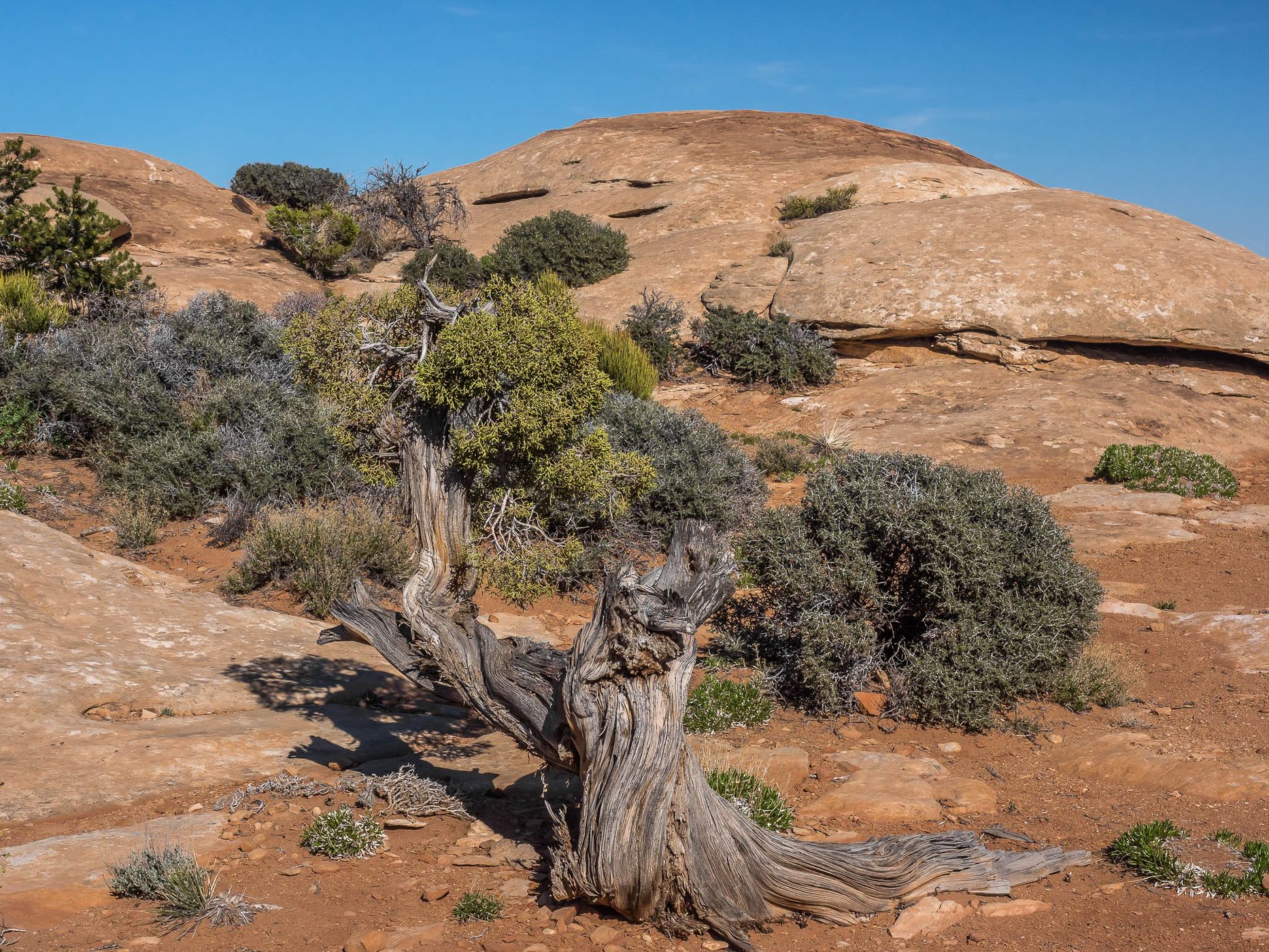 Muley Point, USA