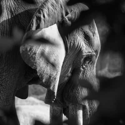 Mysore Zoo, India