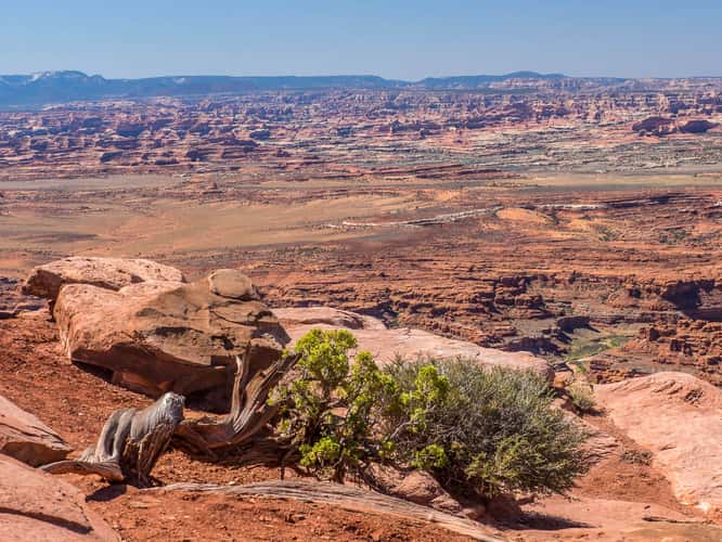 Needles Overlook