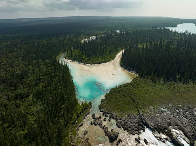 Oro Natural Pool