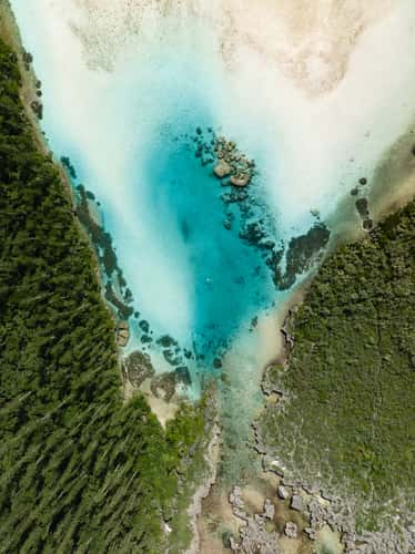 Oro Natural Pool