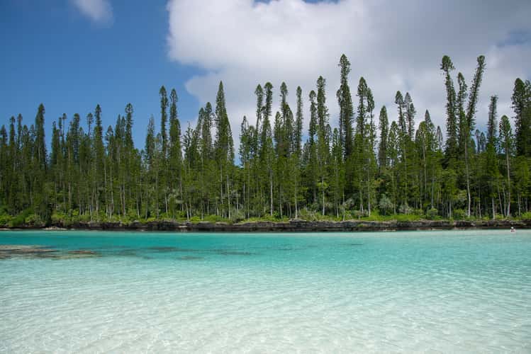 Oro natural pool