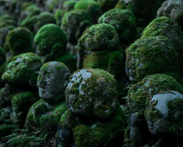 Otagi Nenbutsu-Ji Temple, Kyoto