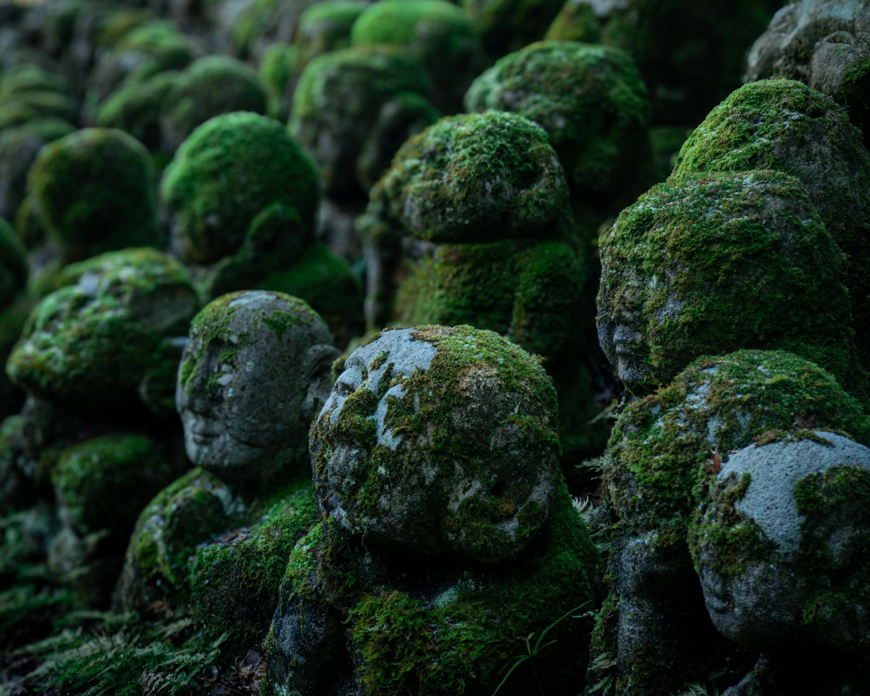 Otagi Nenbutsu-Ji Temple, Kyoto, Japan