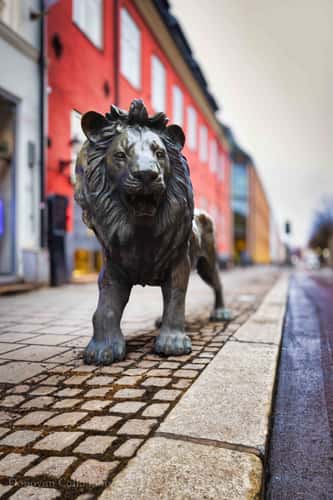 Øvre Slottsgate Lions, Oslo
