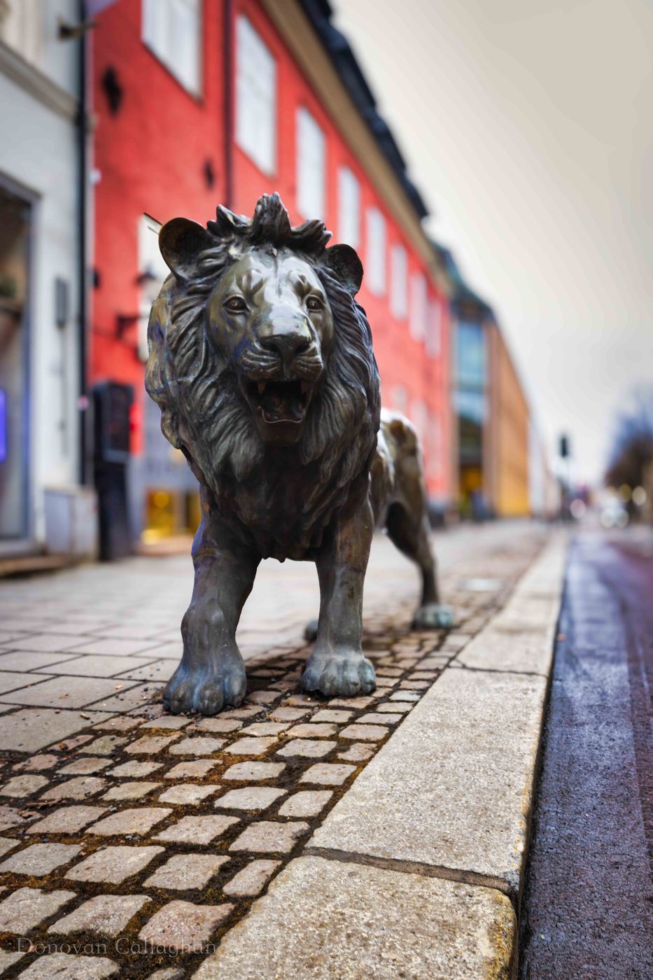 Øvre Slottsgate Lions, Oslo, Norway