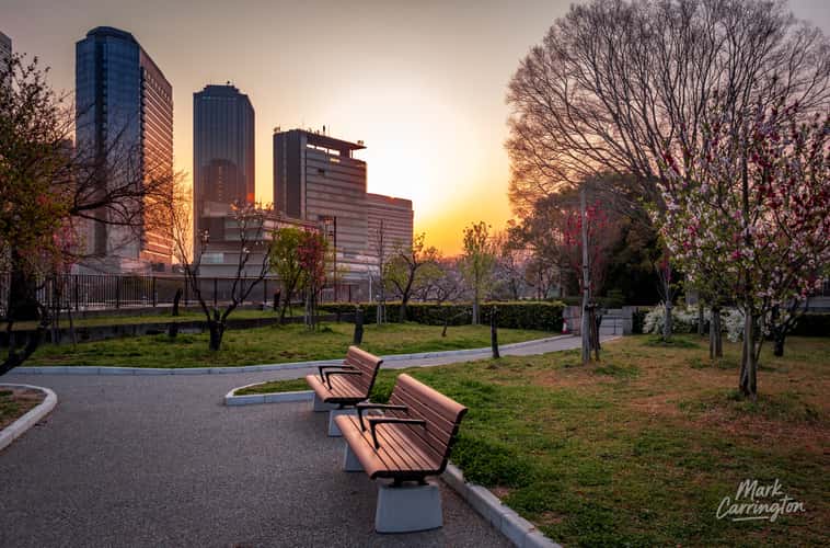 Peach Grove at Osaka Castle Park