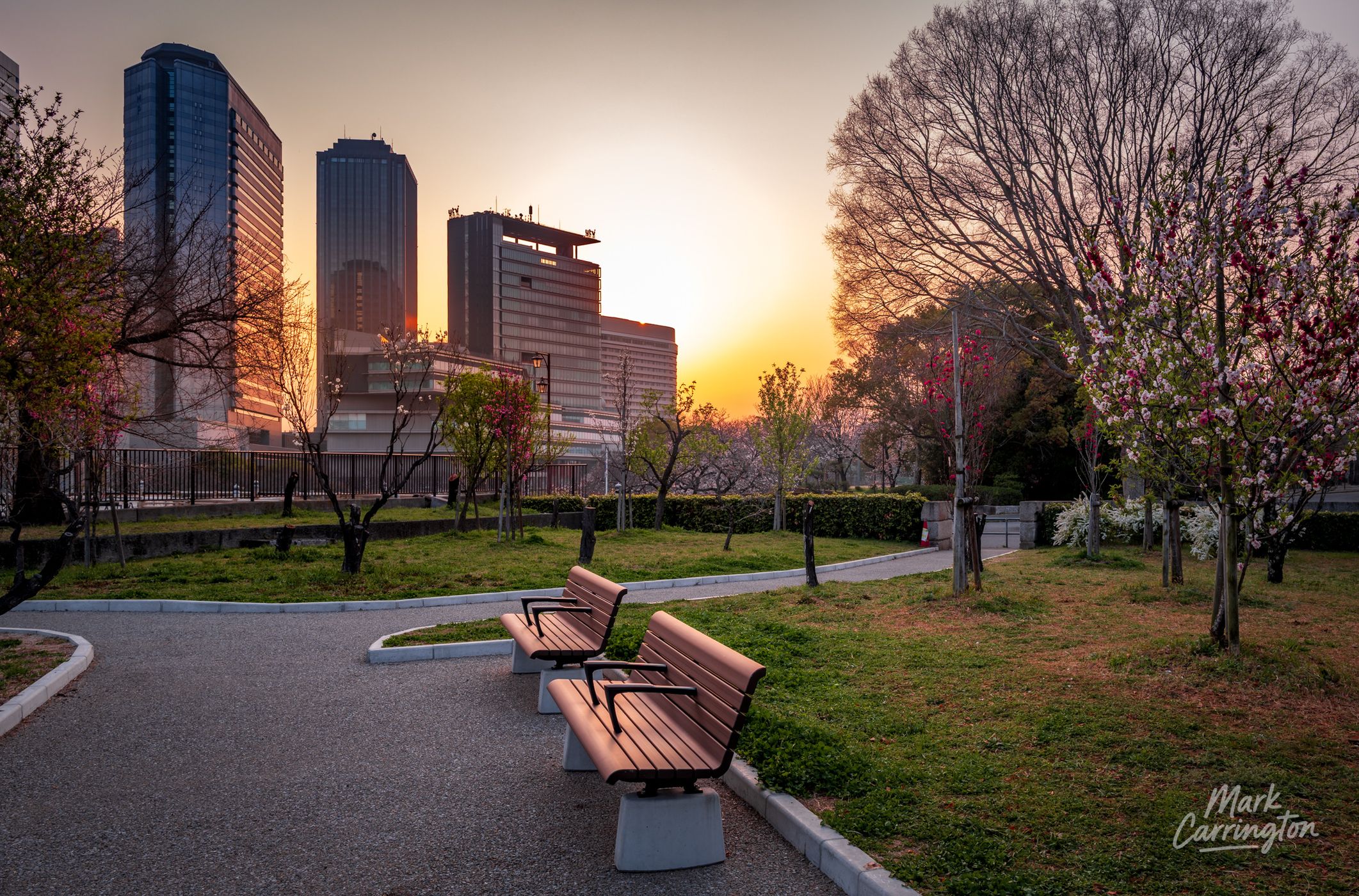 Peach Grove at Osaka Castle Park, Japan