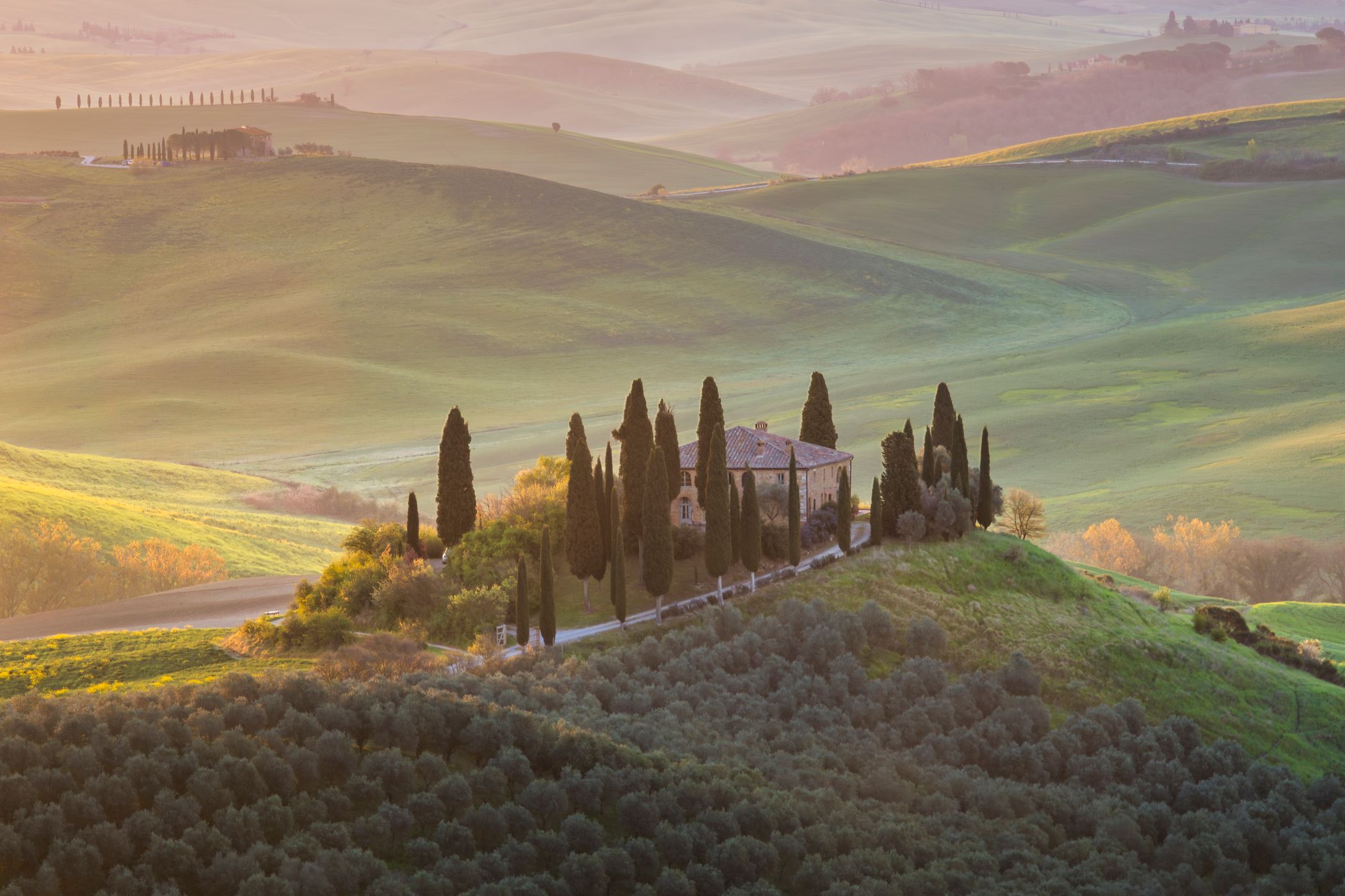 Podere Belvedere in the Val D'orcia Tuscany, Italy