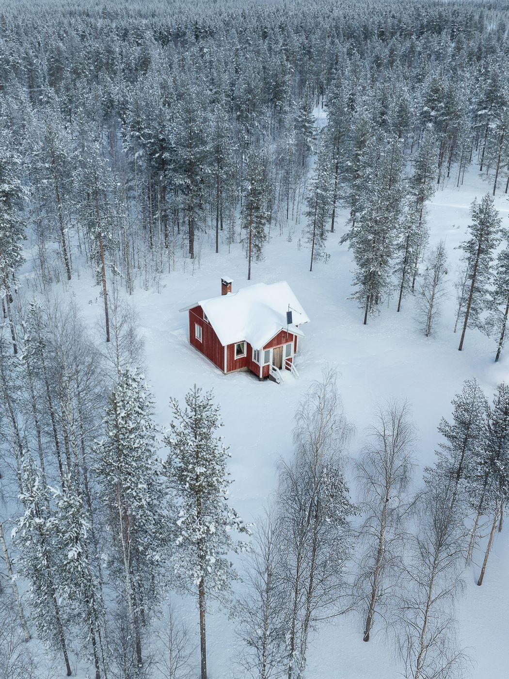 Red cabin in the forest, Finland