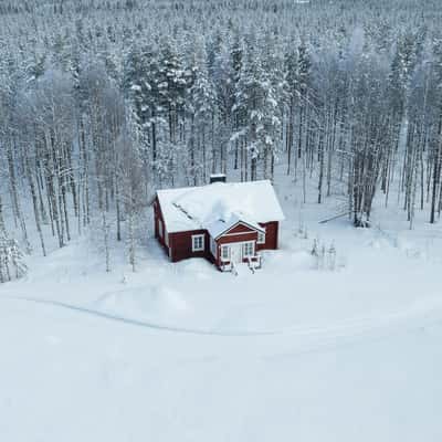Red cabin in the forest, Finland