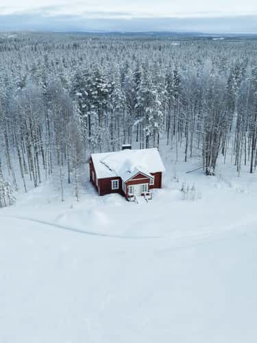 Red cabin in the forest